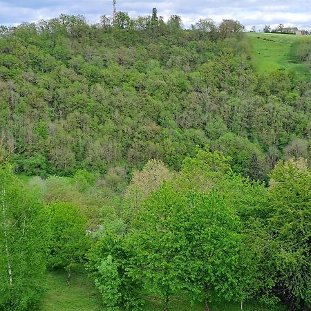Agreable T2 Classe 3 Etoiles, Refait A Neuf, Dans Quartier Calme Rodez Kültér fotó