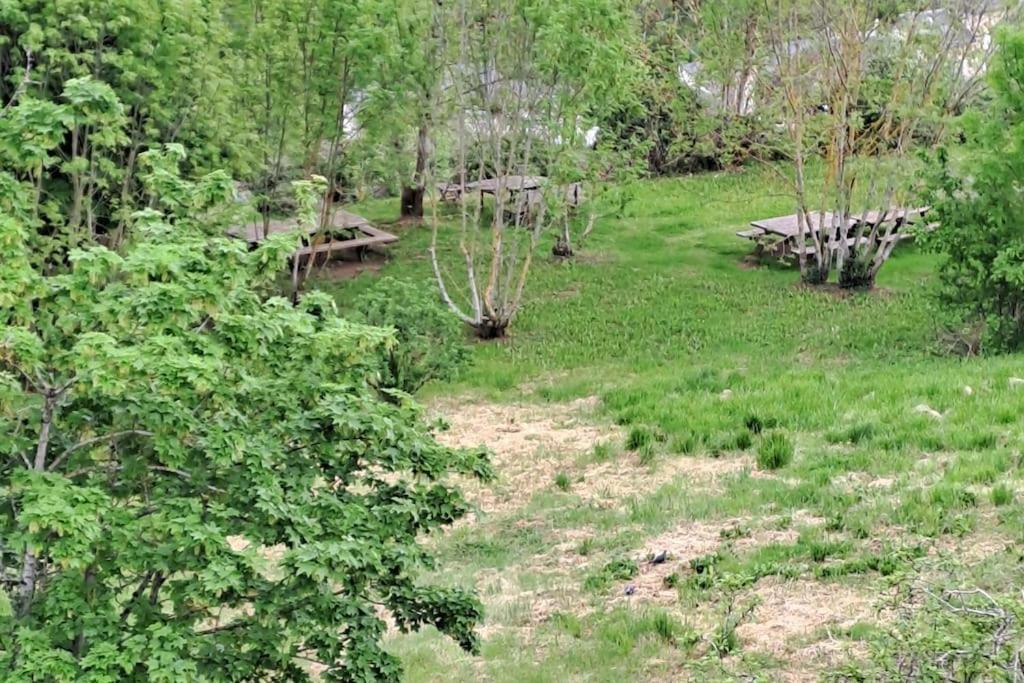 Agreable T2 Classe 3 Etoiles, Refait A Neuf, Dans Quartier Calme Rodez Kültér fotó
